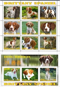 Stamp sheet+block Britany Spaniel Dogs 2021 Korea issue - Picture 1 of 1