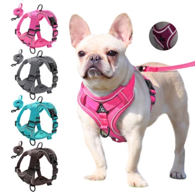 Small Dog Harness and Leash Set Soft Mesh Padded Puppy Pet Cat Reflective Vest  - Image 1 of 4