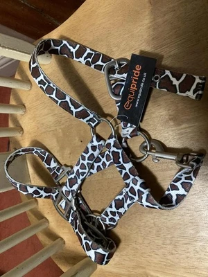 Equipride Headcollar Shetland or Small Pony  - Image 1 of 2