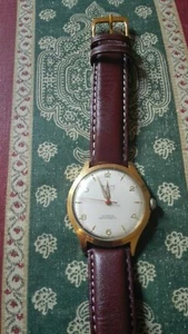 PALLAS SPEZIAL BEAUTIFULL MEN'S WRIST WATCH MECHANICAL 20MCR GOLD - Foto 1 di 7