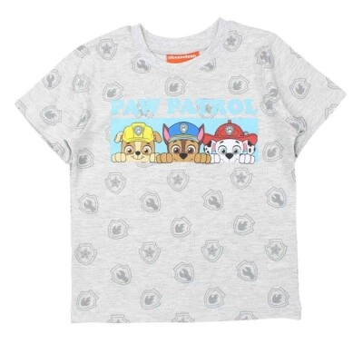 Boys' T-Shirt. Looney Tunes, Mickey, Naruto, NASA, Gray Color. 2-14 Years - Image 1 of 2