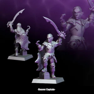 Reaver Captain - Männlicher Elfenpirat - Bild 1 von 1