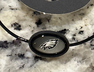 NFL Philadelphia Eagles Oakley Sunglasses Neck Leash Kit Glasses Eyeglasses New - Picture 1 of 3