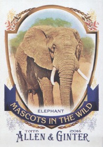 2016 Topps Allen & Ginter Baseball Mascots in the Wild #MIW-8 Elephant