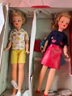 Ideal Tammy dolls + Tammy case plus accessories. Great condition, 1962 editions