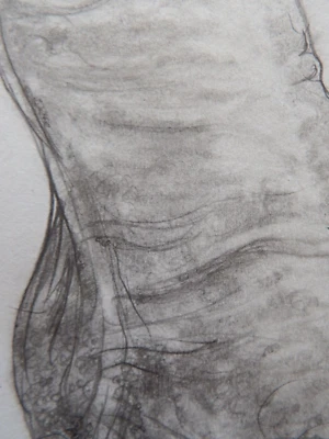 Original Fine Art Pencil Male NSFW Illustration Penis Drawing Sensitive Content  - Image 1 of 4