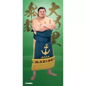 Sumo Wrestler Rikishi ONOSATO Poster di grandi dimensioni 47x100 cm, 18,5x39,3 pollici - Foto 1 di 1