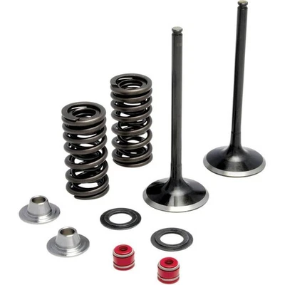 Moose Racing M30-31660 Replacement Exhaust Valve Kit - Image 1 of 3
