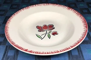 Set 1 von 6 hohlen Tellern Porzellan blickdicht BADONVILLER Blumendekor D 22,5 cm - Bild 1 von 12