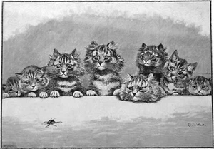 HYPNOTIZED KITTENS (by Louis Wain) - Very large engraving 19th century - Picture 1 of 2