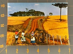 Cartolina Brasile Turistico 03 Piantagione De Trigo En La Zona Serrana Fattoria Signore - Foto 1 di 2