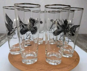 Sportsman Federal Glass Game Bird 12oz Tumblers Set of 8 Silver Top MCM Barware - Picture 1 of 24
