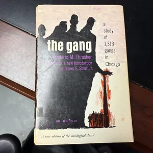 The Gang Frederic M. Thrasher a Study Of 1313 Gangs in Chicago - Foto 1 di 10