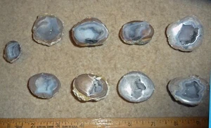 8 Small Polished Dugways geodes with Quartz Druzy crystals in center 1 is a pair - Picture 1 of 3