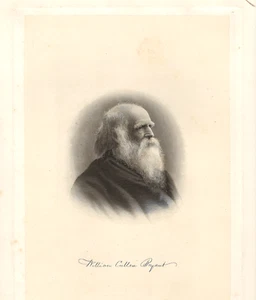 VINTAGE STEEL ENGRAVING WILLIAM CULLEN BRYANT #5 SIDE PORTRAIT - Picture 1 of 1