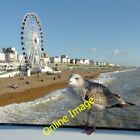 Photo 6x4 Brighton beach and seafront, with gull and wheel Kemp Town Seen c2013