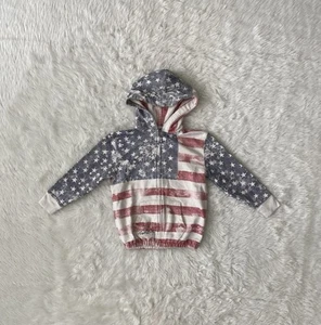 Ralph Lauren Hoodie Boys Sz 5 Flag Patriotic USA Full Zip Distressed Sweatshirt - Picture 1 of 7