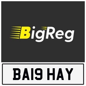 BALE HAY HAYS FARM COW TUP EWE GUN PRIVATE REG CHERISHED NUMBER PLATE BA19 HAY - Picture 1 of 5