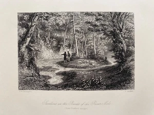 Estampado antiguo 1845; golondrinas en el topo del río, Burford, Surrey después de Thompson - Imagen 1 de 2