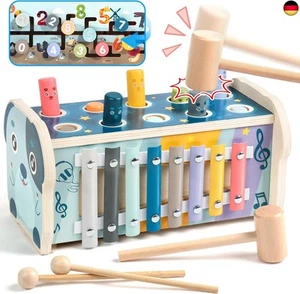 Fajiabao Motorikspielzeug Montessori Spielzeug ab 1 Jahr Holzspielzeug 1 Jahr - Bild 1 von 9