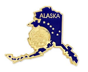 ALASKA STATE FORM ANSTECKNADEL - Bild 1 von 1