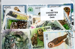 Konvolut 50 Themenmarken " Eulen und Eulen " - Bild 1 von 1