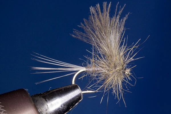 Fliegentom Trockenfliege - 3 Stück graue CDC-Duster - Bild 1 von 1