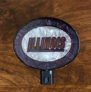 Vintage Oval University of Illinois Fighting Illini Stained Glass Nightlight - Picture 1 of 4