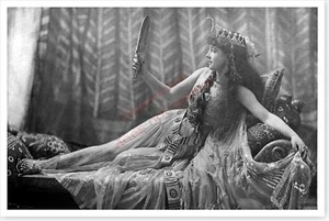 Actriz de escenario Lillie Langtry La camiseta Lily 8 x 12 foto de haluro de plata - Imagen 1 de 1