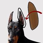   Stand Up Sticker Fixed Support Deutscher Schferhund Ear Raise Tool
