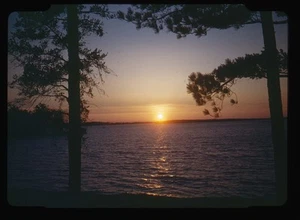 Red Boarder ruhige Sonnenuntergangsszene gerahmt von Pinien - Bild 1 von 2