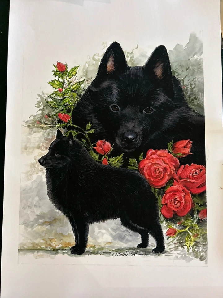 Schipperke с принтом красного розового цвета от Martha Van Loan 8x10 - Изображение 1 из 1
