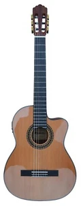 Classical Nylon Strings Guitar Solid Cedar Top with FISHMAN EQ (Free Ship Canada - Picture 1 of 3