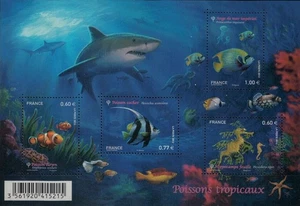 FRANCIA 2012 Pesci tropicali BF MNH** - Picture 1 of 1