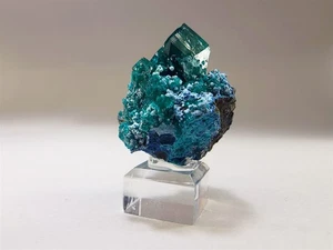 Deep Emerald Green Dioptase Crystal Cluster with Blue Plancheite - Picture 1 of 10