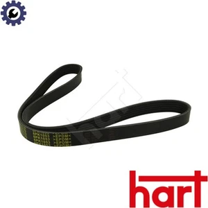 CINTURÓN ACANALADO 368 800 PARA VW CADDY/III/caja/cuerpo/MPV SHARAN/VAN GOLF/VI/PLUS 1,9 L - Imagen 1 de 6