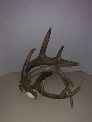 Resin Deer Antler Red Wine Bottle Holder Table Rack Ornament Home Bar Decor - Image 1 of 4