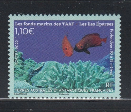 FRENCH SOUTHERN & ANTARCTIC TERRITORIES îles Eparses Marine Life MNH stamp - Image 1 of 1