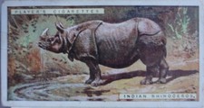 Single: No.41 INDIAN RHINOCEROS - NATURAL HISTORY John Player & Sons 1924