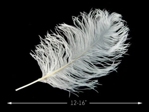 10 Pieces - 12-16" White Ostrich Tail Centerpiece Costume Feathers Wedding Party - Picture 1 of 9
