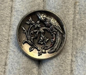 Vintage Antique Metal Picture Button PARROT BIRD Mirror Back Twinkle - Picture 1 of 3
