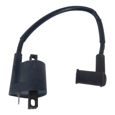 2004 YAMAHA RAPTOR 50 YFM50 IGNITION COIL 4KJ-82310-10-00 Foto 1 de 4