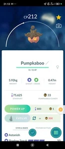 Pokemon Pumpkaboo Trade - Picture 1 of 1
