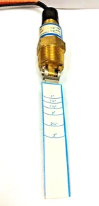 THOMAS PRODUCTS Modell 2400 Teile-Nr. 19650 Paddel Typ Messing Flüssigkeit Durchflussschalter 1" NPT - Bild 1 von 5