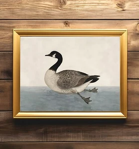 Pintura vintage de ganso canadiense | decoración rústica del hogar | arte de pared de la casa del lago - Imagen 1 de 4
