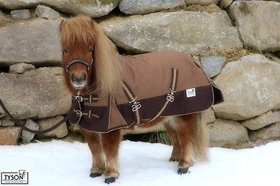 Regendecke Mini Shetty 65 70 75 80 85 90 95 100  1200 LILA Braun Outdoor Decke   - Bild 1 von 4