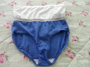 NEW Lot of Two size 7 Blue & White Briefs by Secret Treasures & Fruit o t Loom - Picture 1 of 1