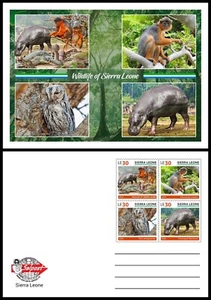 SIERRA LEONE 2025 STATIONERY CARD FROGS TURTLE HIPPOPOTAMUS MONKEY OWL MUSHROOMS - Picture 1 of 1