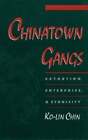 Chinatown Gangs: Extortion, Enterprise, And Ethnicity By Ko-Lin Chin: Used