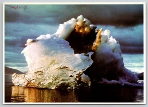 Alaskan Eisberg - Binnenpassage Alaskas (6 x 4 Zoll) Postkarte - Bild 1 von 2